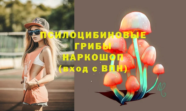 а пвп мука Липки