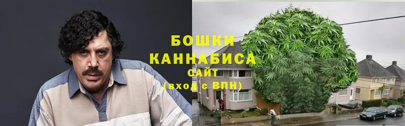 Бошки Шишки SATIVA & INDICA  купить наркоту  Дегтярск 